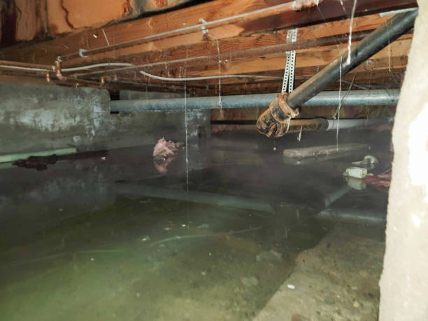 Best Ceiling water damage repair  in Lewistown, MT