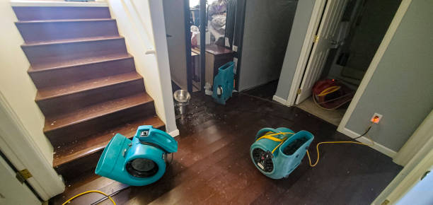 Best 24/7 water damage repair  in Lewistown, MT