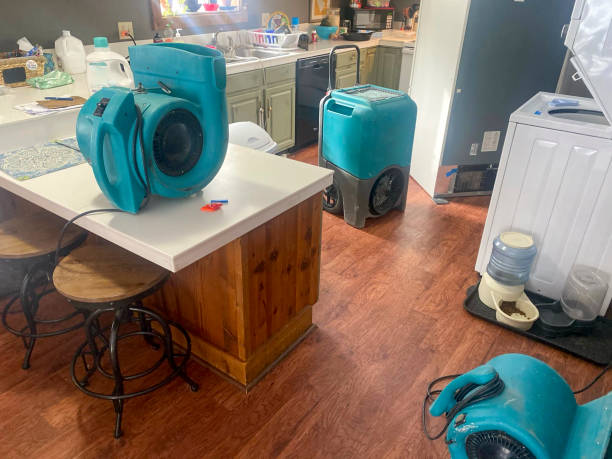 Best Sewage cleanup and water damage restoration  in Lewistown, MT