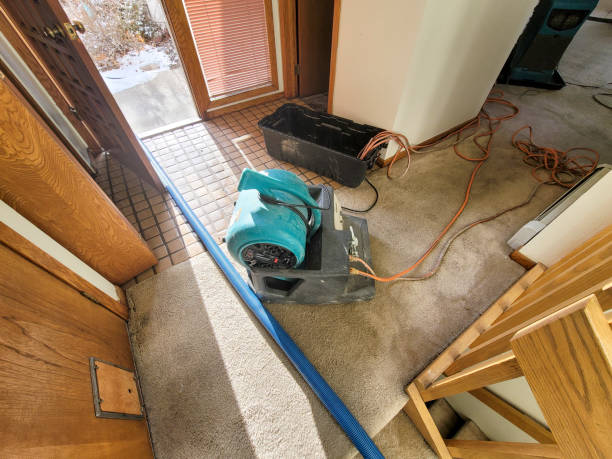 Best 24/7 water damage repair  in Lewistown, MT