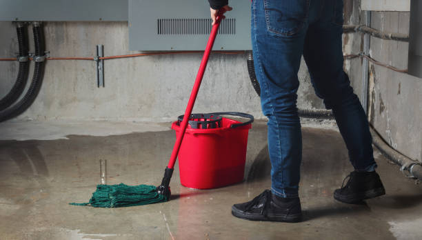 Best Commercial water damage restoration  in Lewistown, MT
