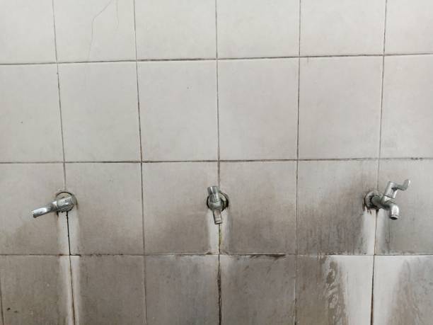 Best Mold removal after water damage  in Lewistown, MT