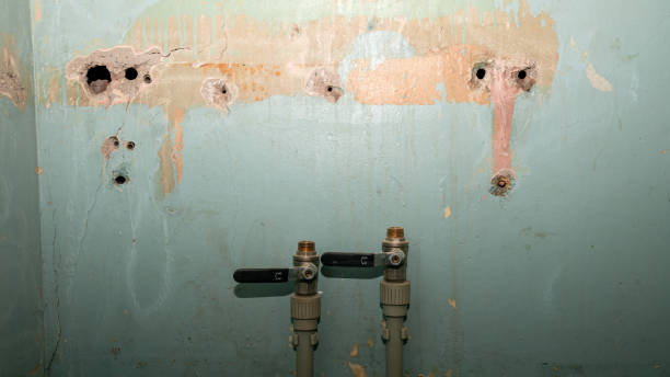 Reliable MT Water damage restoration Solutions