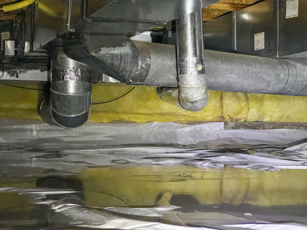 Best Residential water damage restoration  in Lewistown, MT