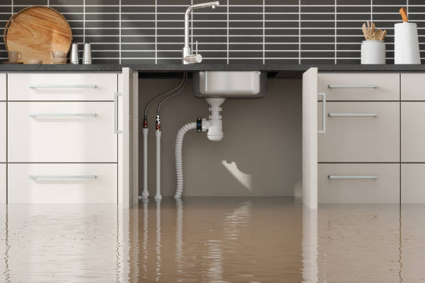 Best Residential water damage restoration  in Lewistown, MT