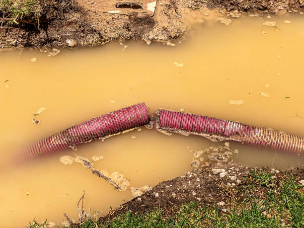 24/7 water damage repair in MT
