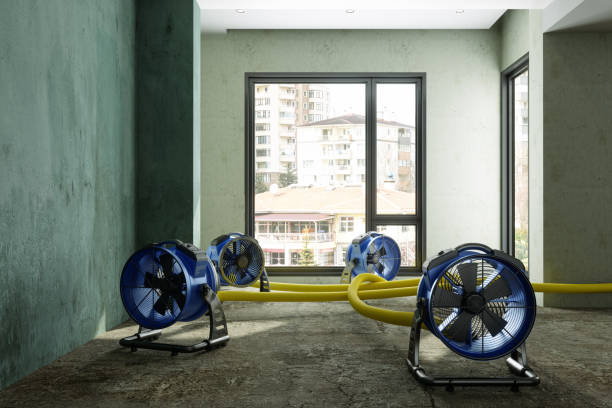 Best Flood restoration services  in Lewistown, MT